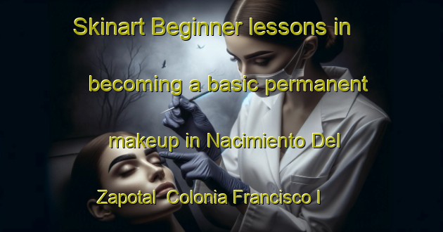 Skinart Beginner lessons in becoming a basic permanent makeup in Nacimiento Del Zapotal  Colonia Francisco I  Madero area | PermanentmakeupTraining | PermanentmakeupClasses | SkinartTraining-Mexico